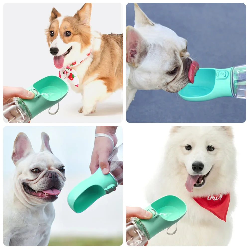 Portable Pet Hydration Solution